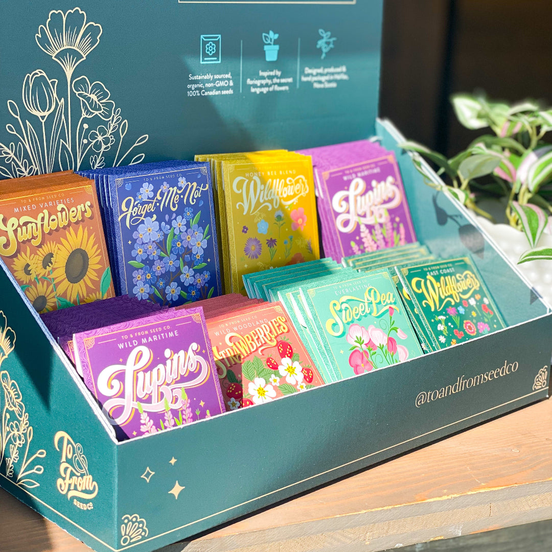 Wild Pink Marsh Rose (Protection) Seed Packet