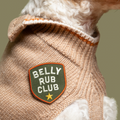 Dog wearing a sweater with a 'Belly Rub Club' patch on a green background