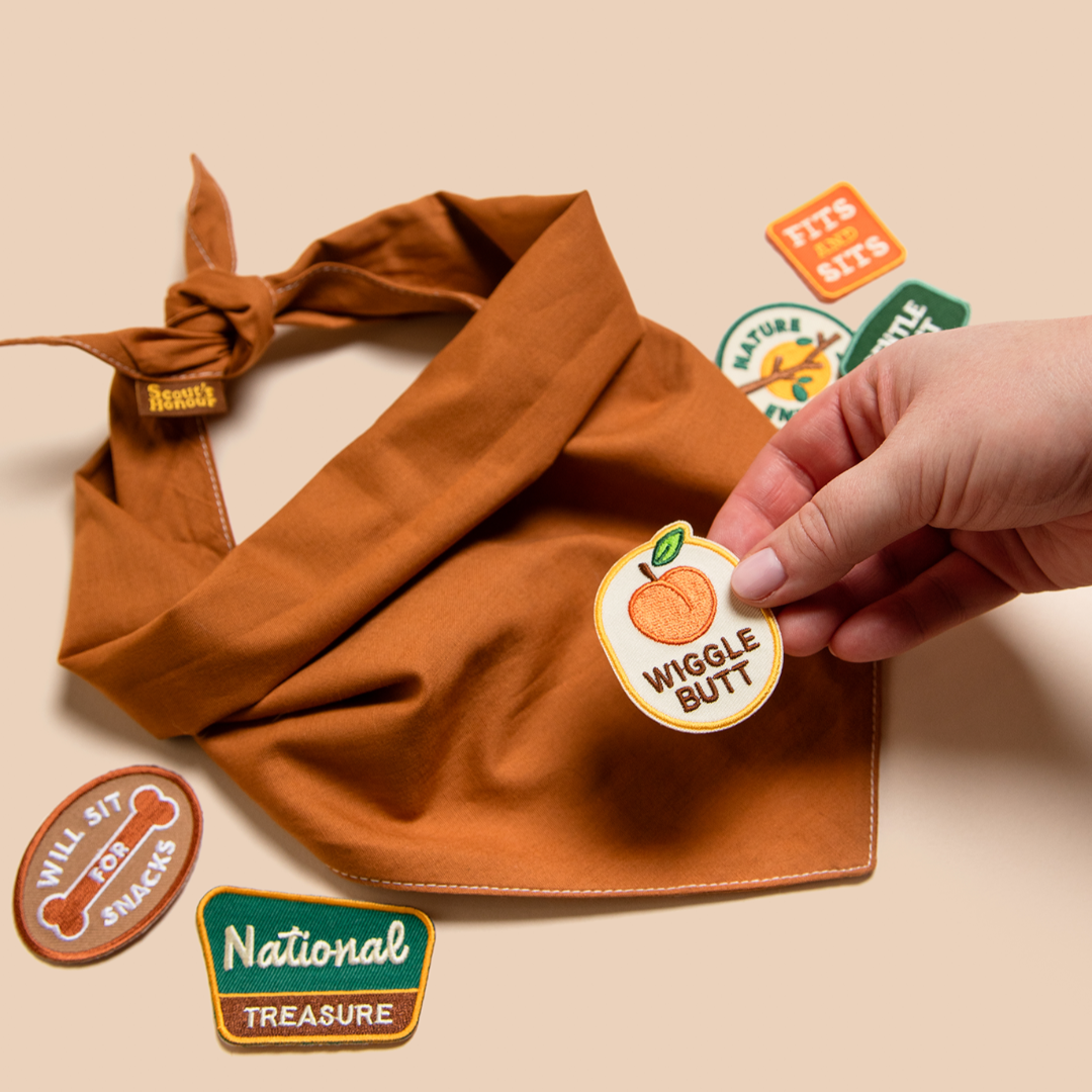 Brown dog bandana with stickers on a beige background